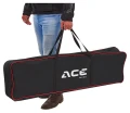 1e.03.ce.ARG10062948ACEBIKESCARRYBAGD3.webp