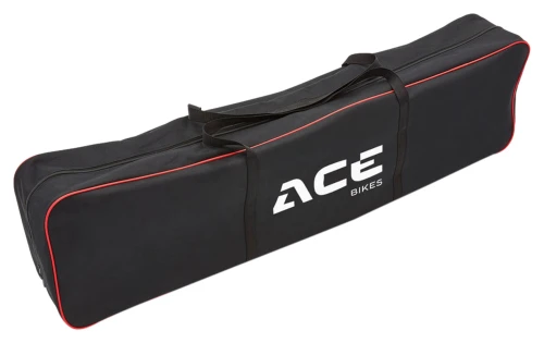 93.c9.00.ARG10062948ACEBIKESCARRYBAGH1.webp
