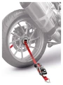 65.50.d4.ARG30006404AcebikesCapstrapD4.webp
